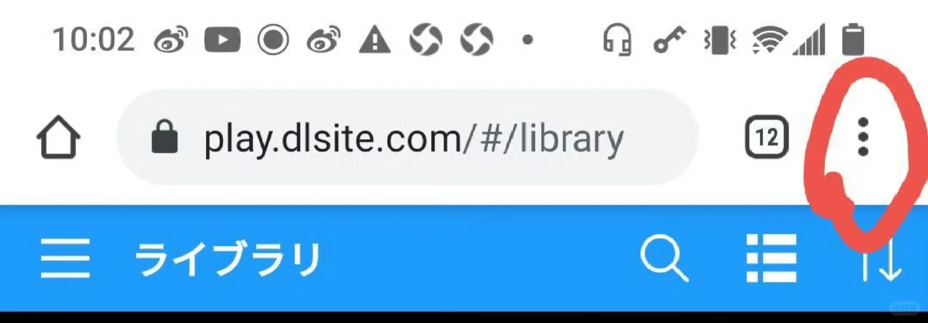 【误区引导教程】这才是dl的正确打开方式