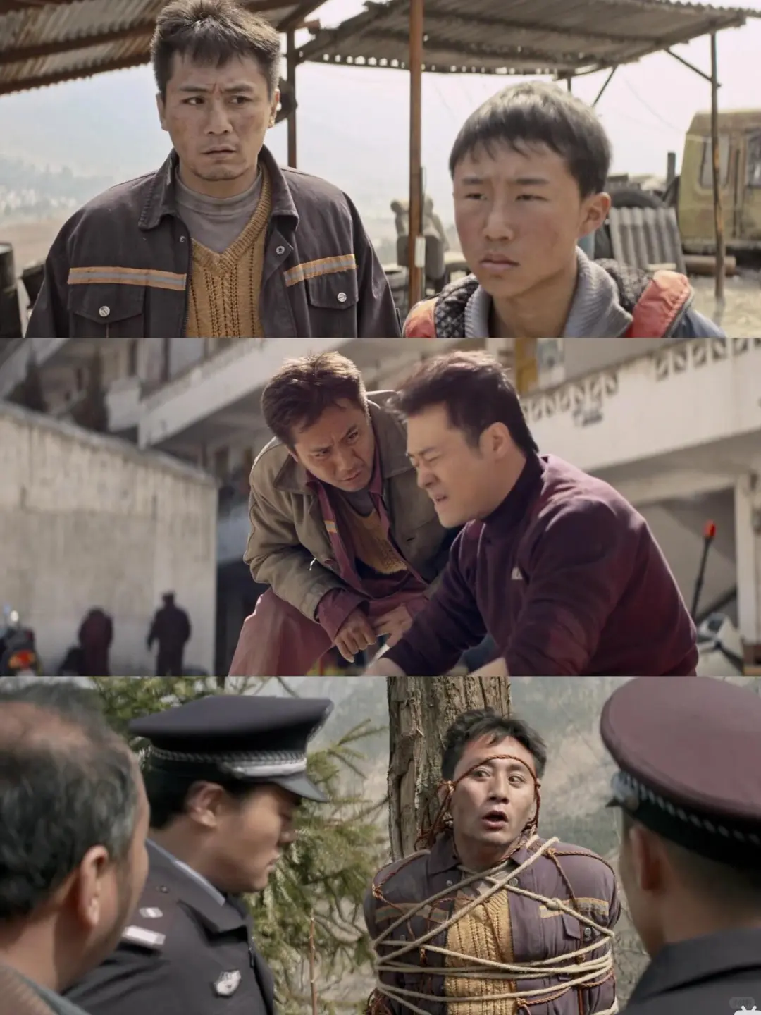 这部犯罪片居然把我笑出鹅叫！！