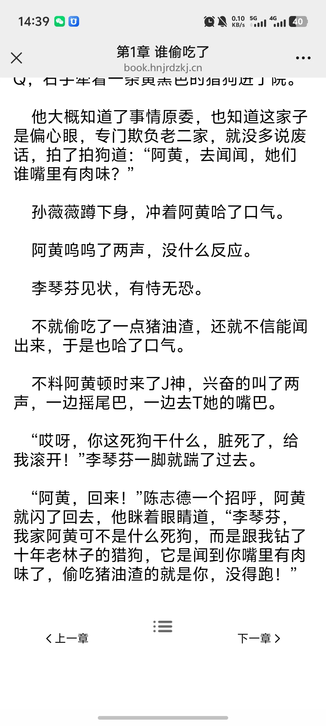 小说系统源码开发，成品可以快速上线