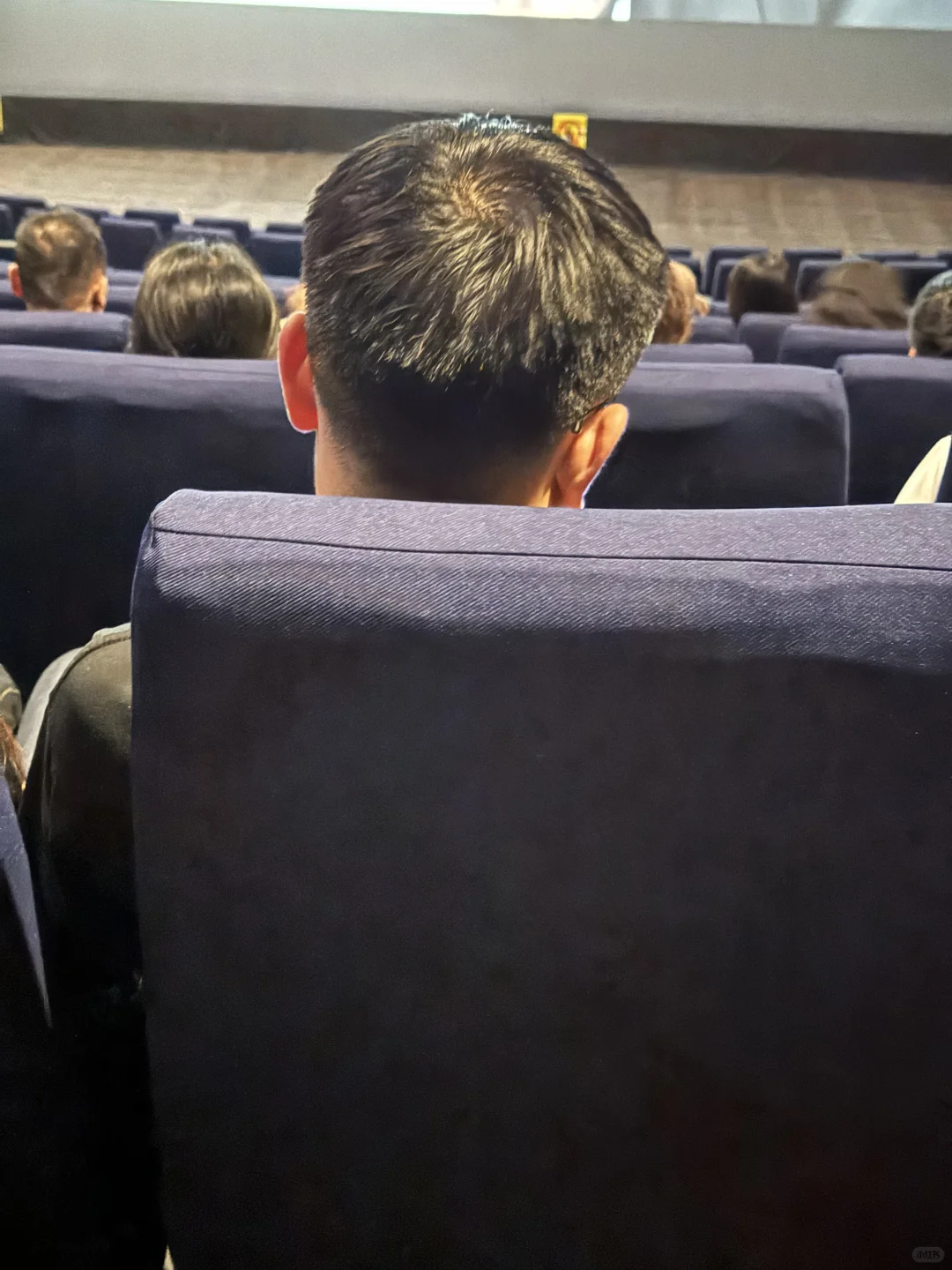 酱园弄电影已看