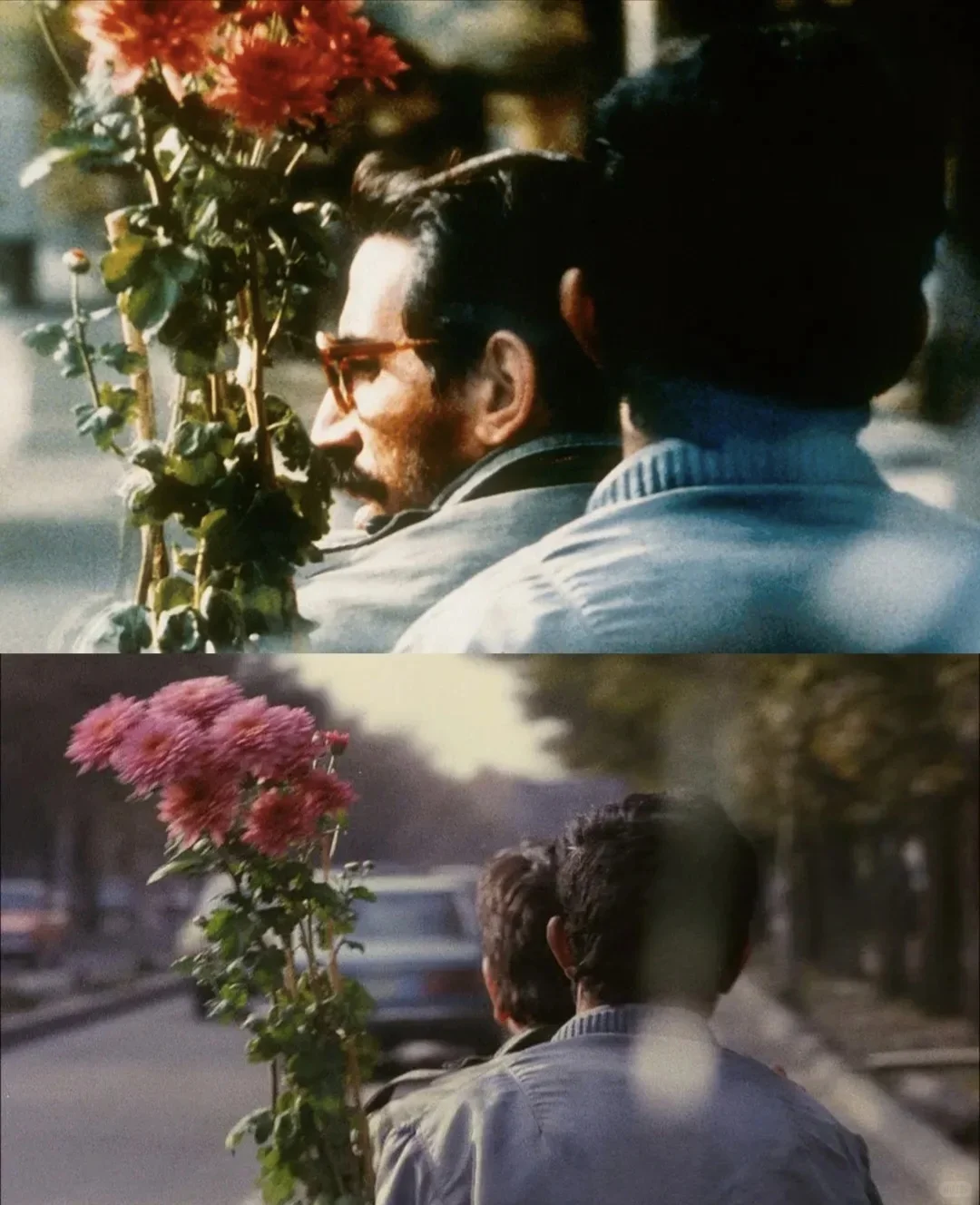 推荐你看了后劲很大的电影【不删】