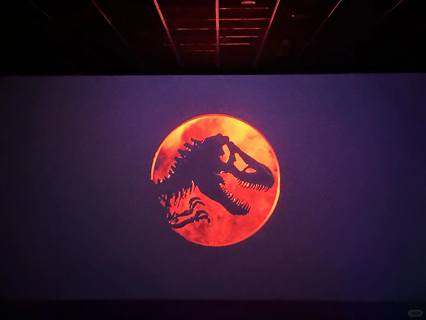 电影《侏罗纪世界：重生》🦕