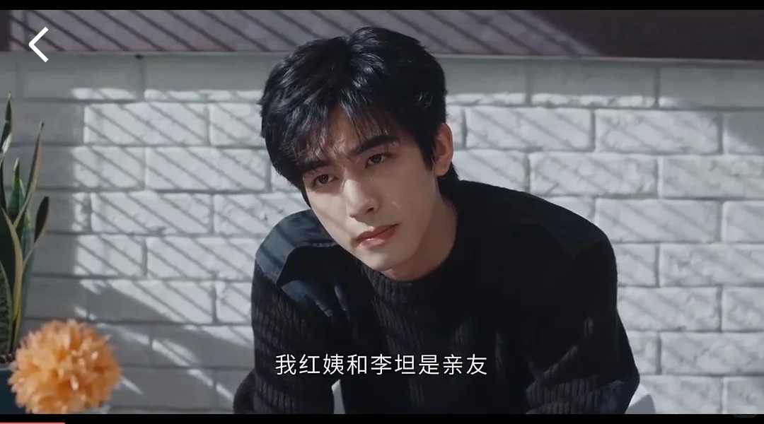 推荐一个苹果的免费看剧APP