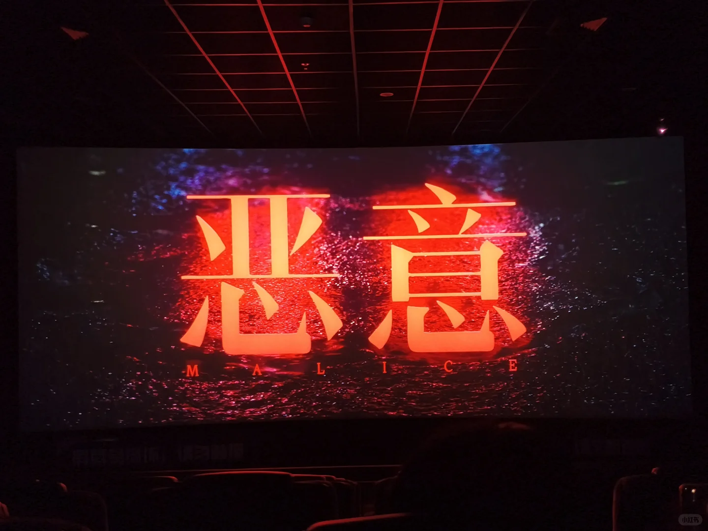 我的2025年度电影——《恶意》