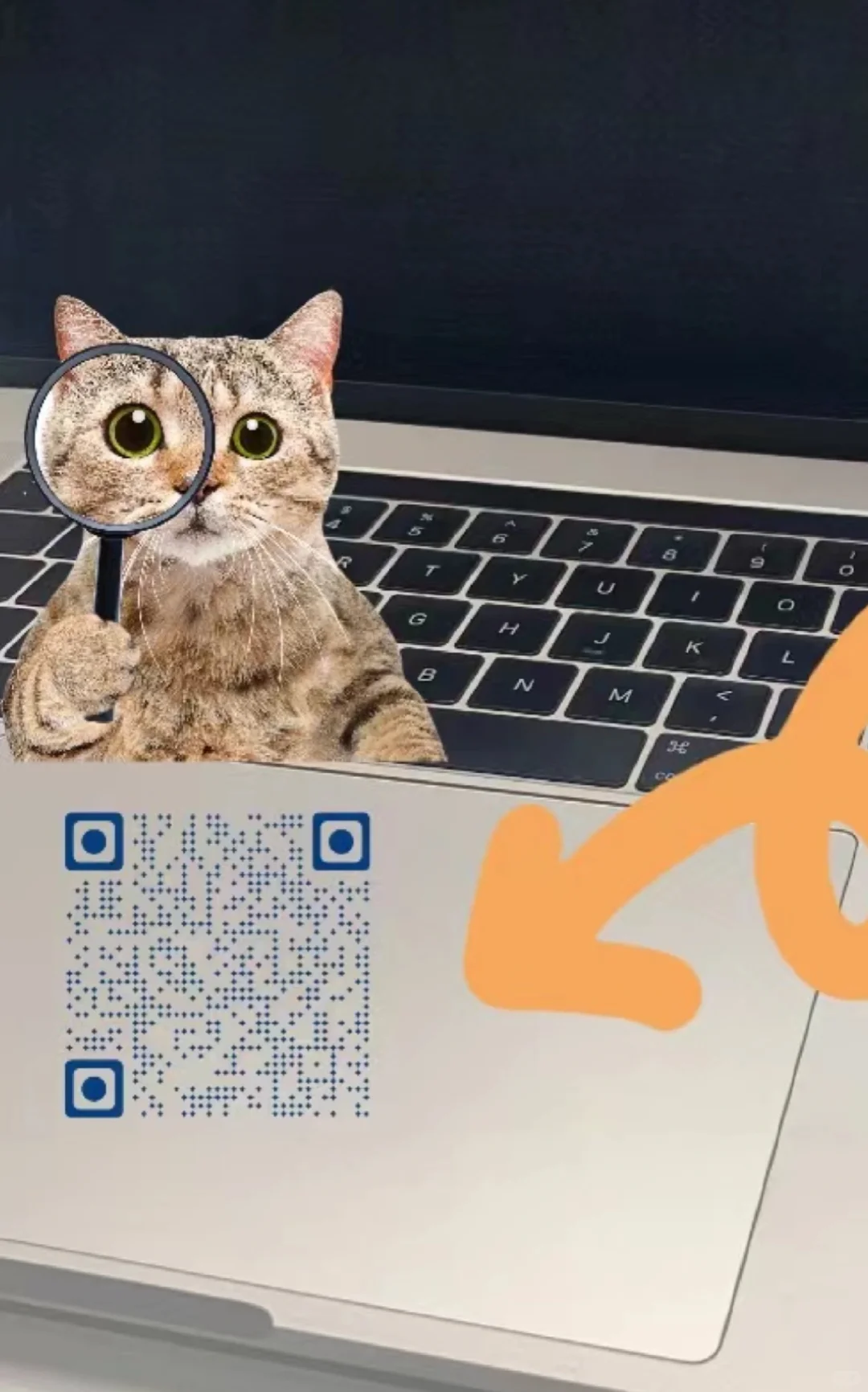 这是我用过最全的了