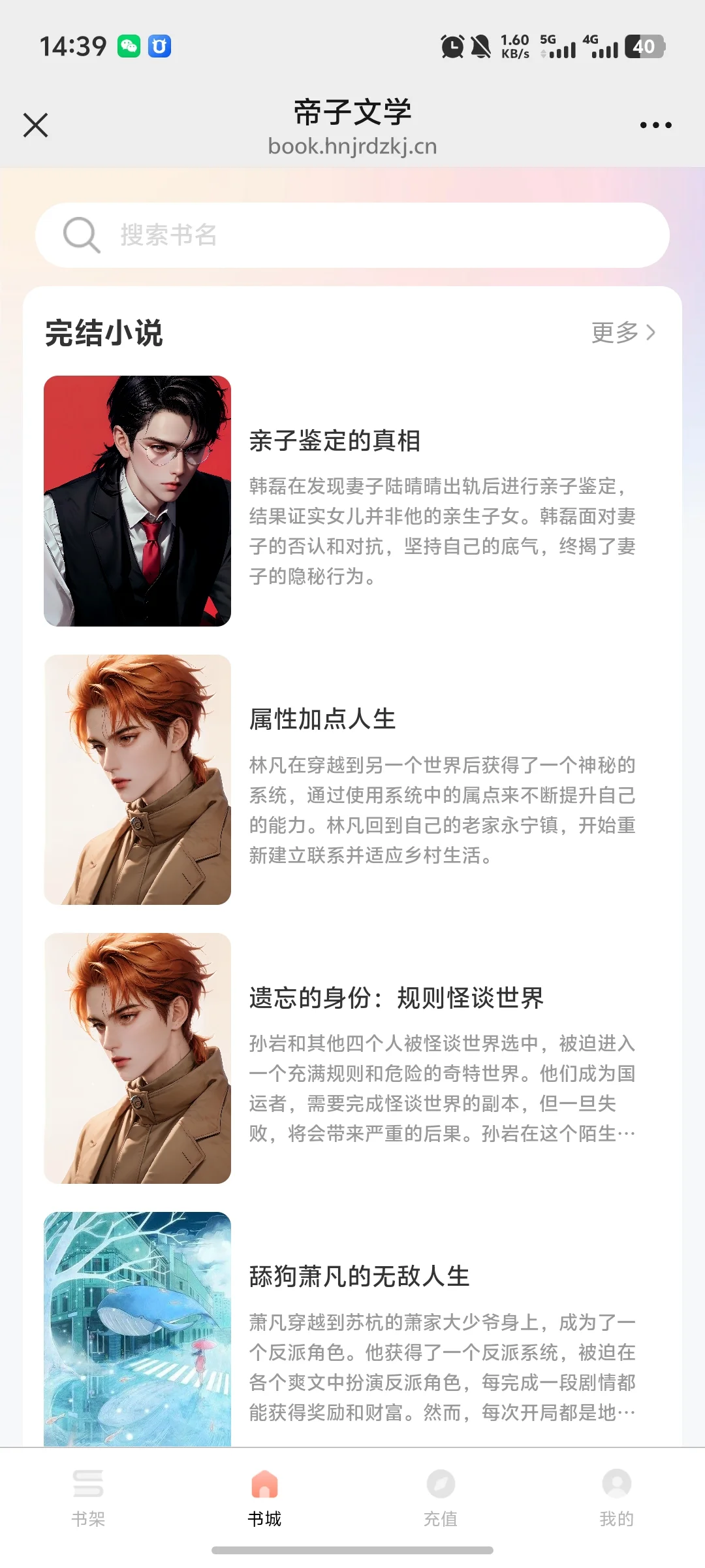 小说系统源码开发，成品可以快速上线