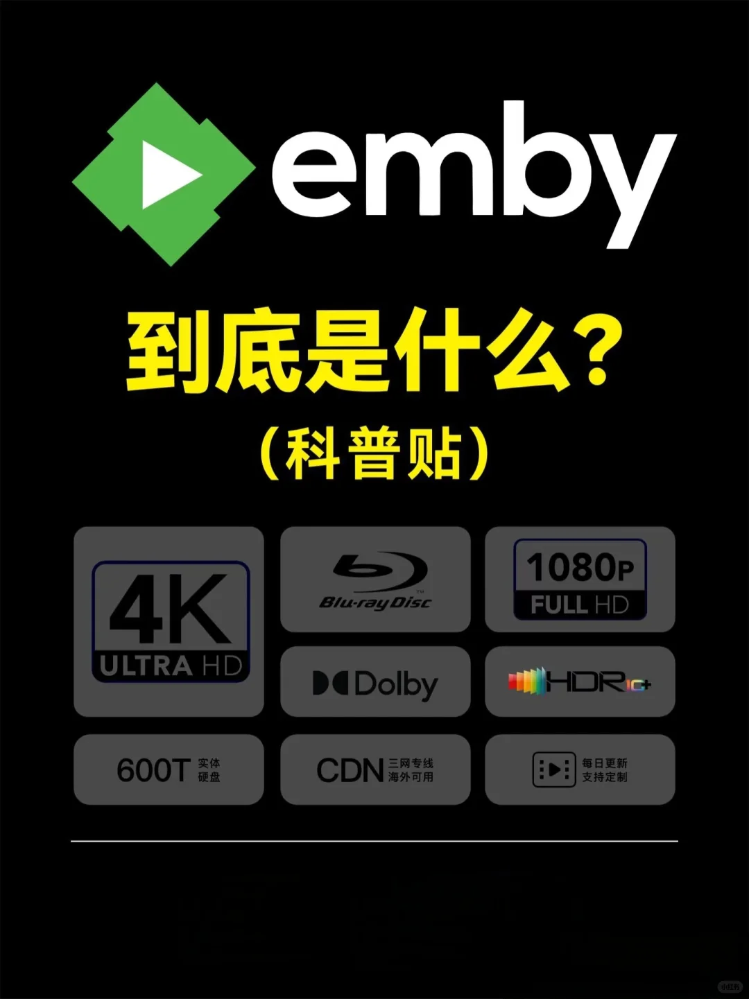 全网质量前三的顶级emby库❗❗