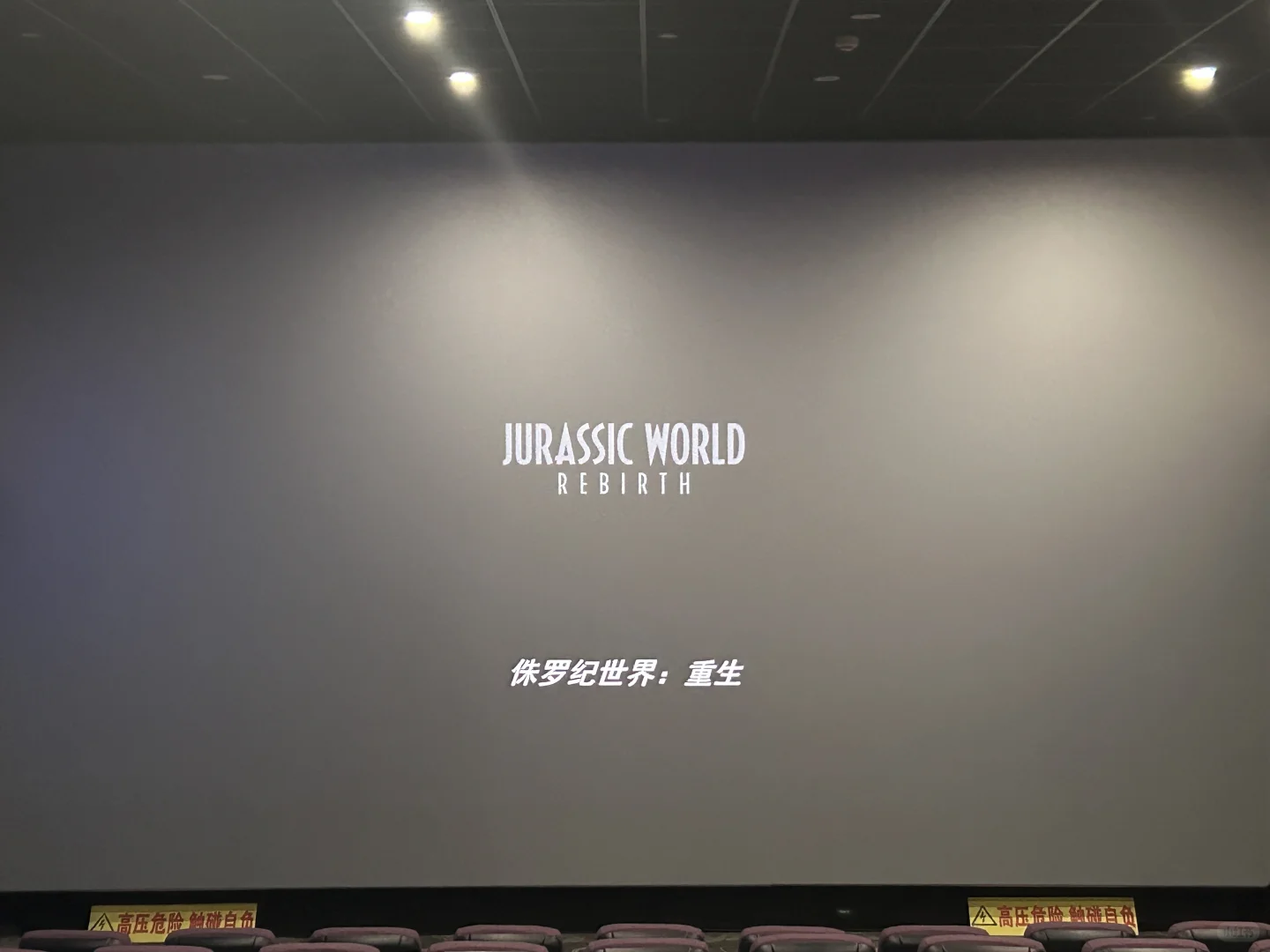 电影《侏罗纪世界：重生》🦕