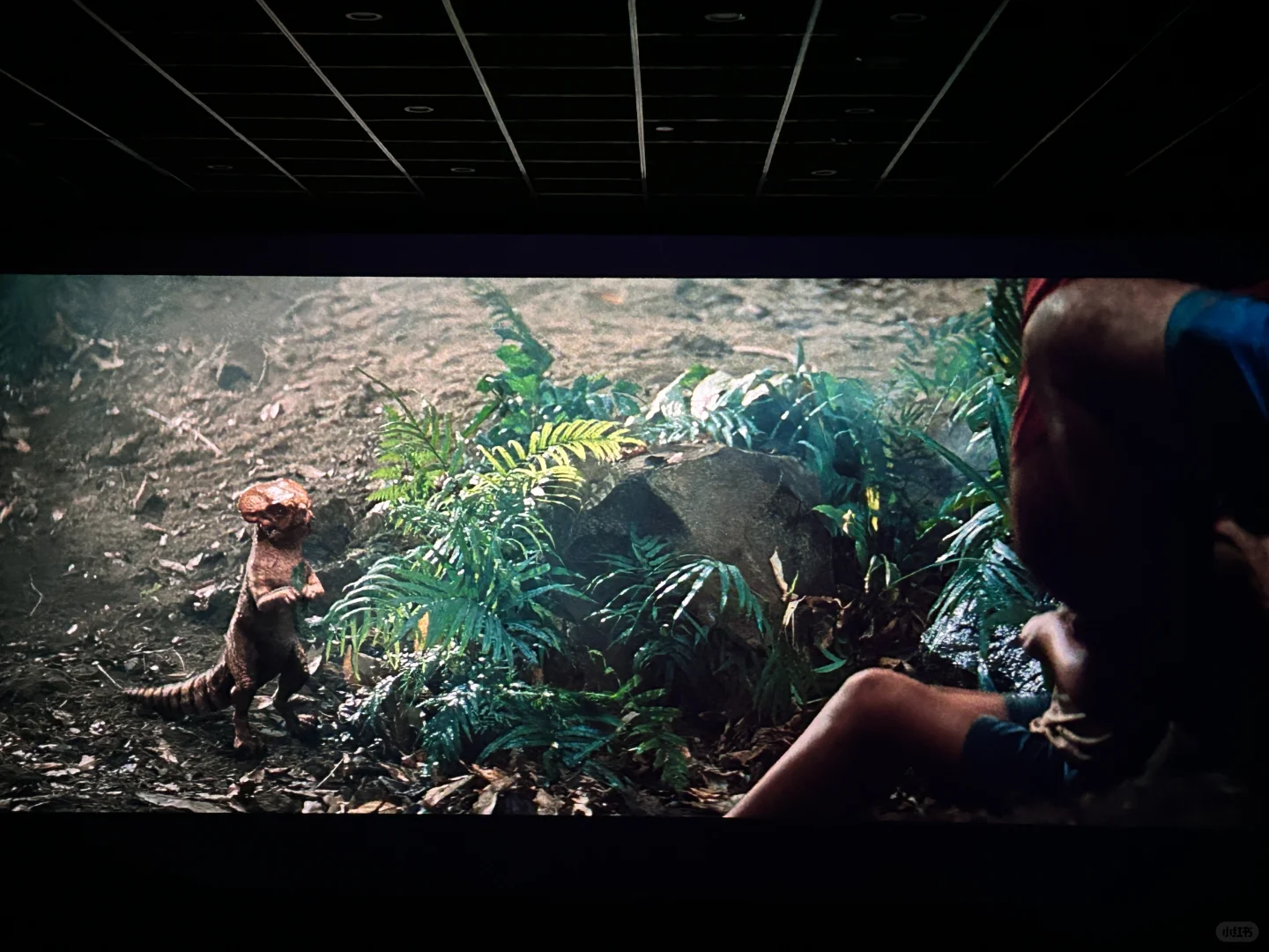 电影《侏罗纪世界：重生》🦕