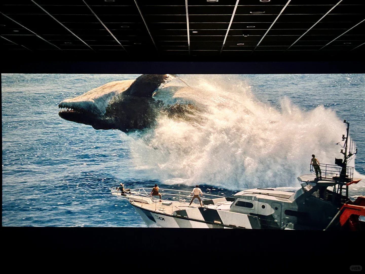 电影《侏罗纪世界：重生》🦕