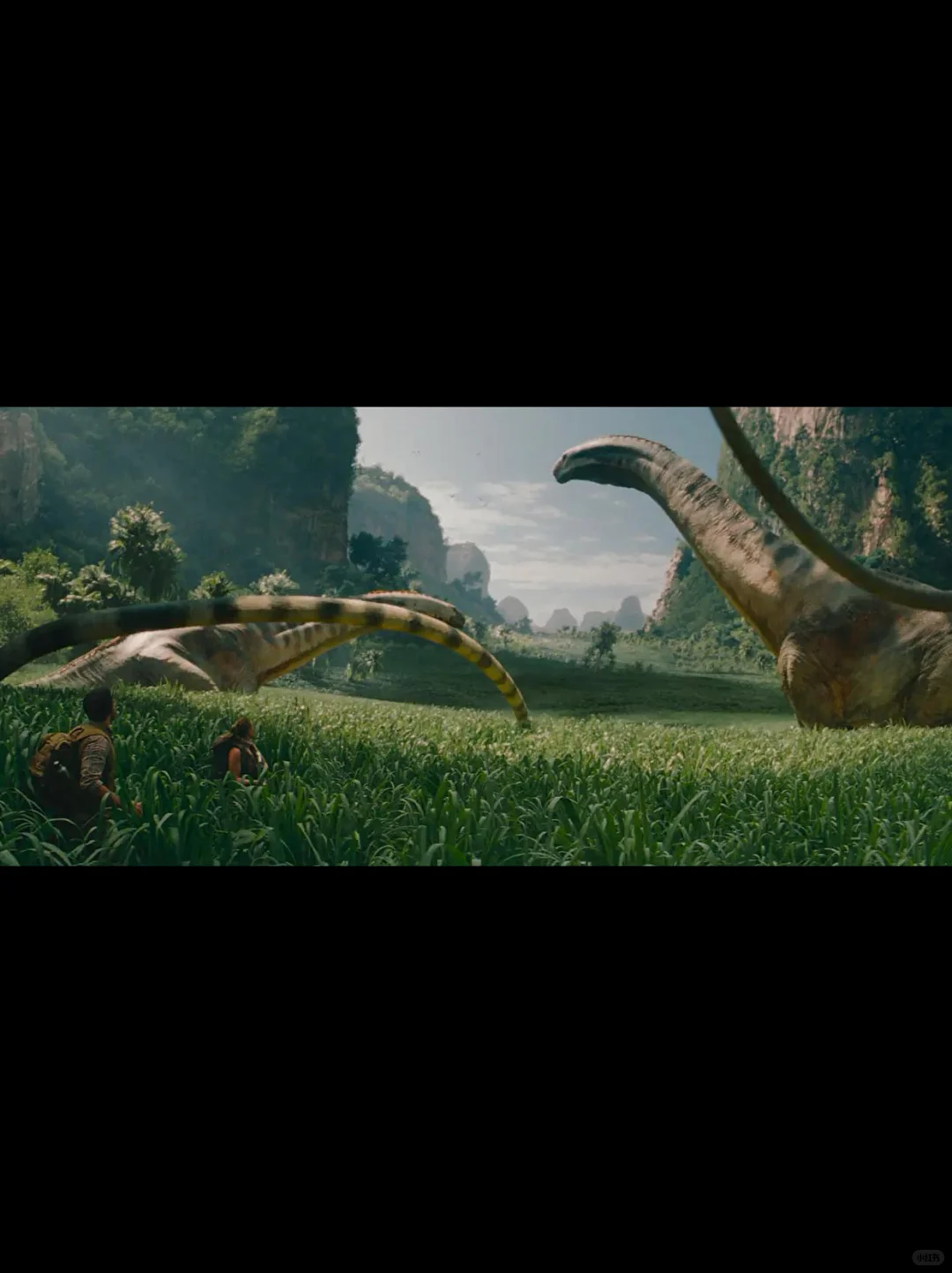 🇲🇾 风格大变，不只是恐龙片！