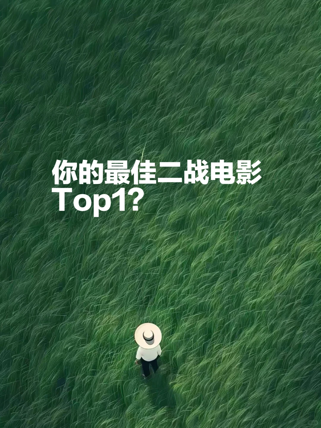 你的最佳二战电影Top1？