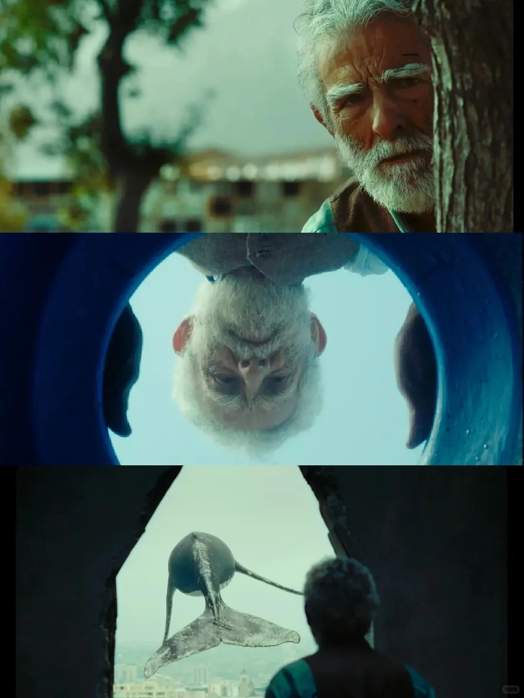 后劲太大了😭被低估的一部好电影‼️