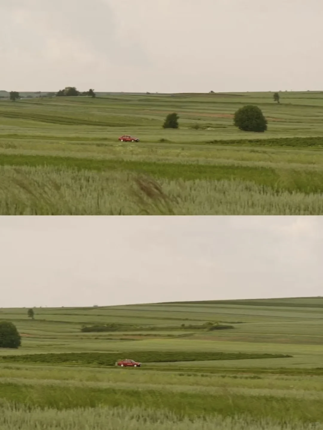 近期看过最好哭的电影😭如何戒断痛苦❗ 刚刚