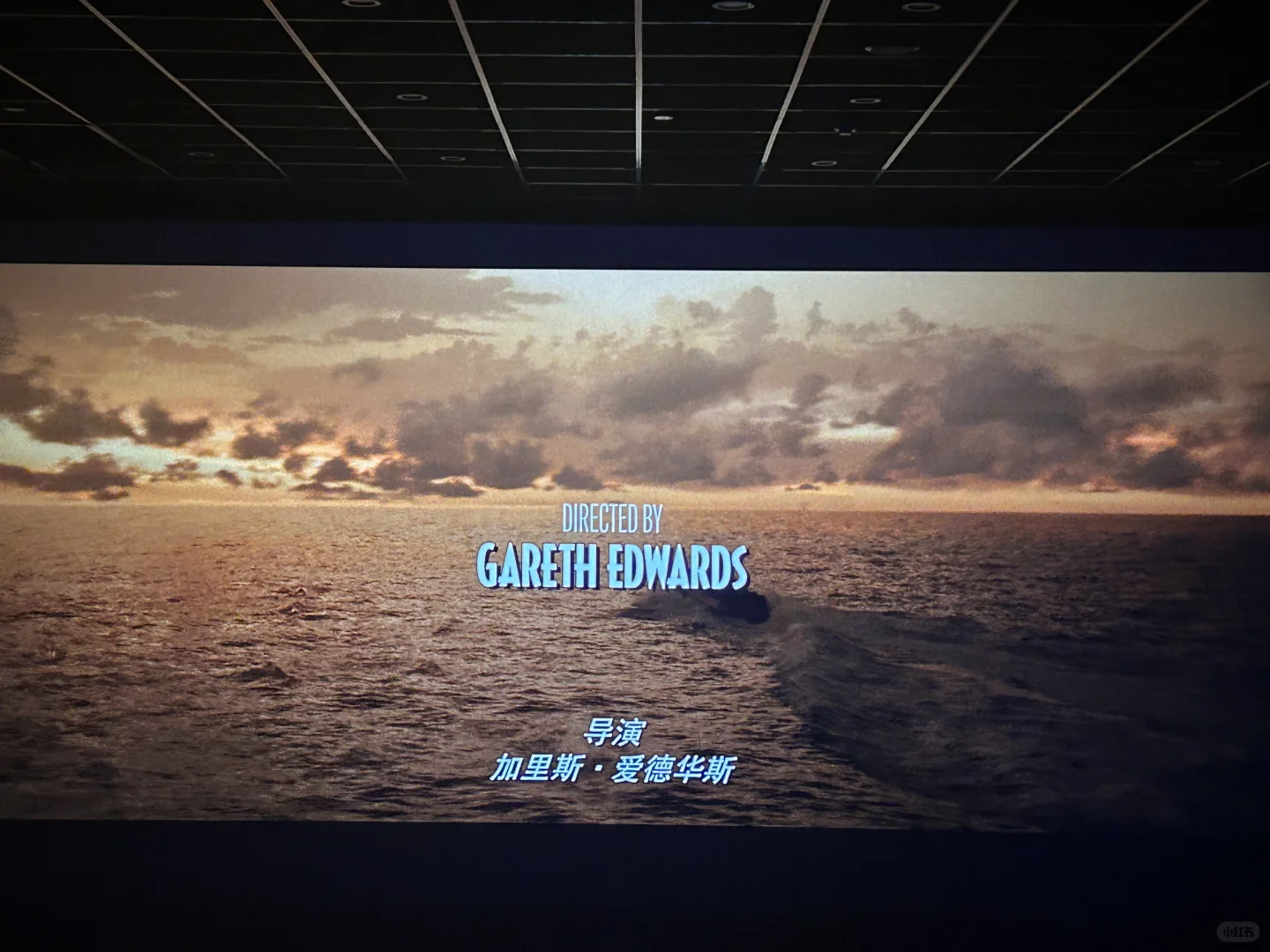 电影《侏罗纪世界：重生》🦕