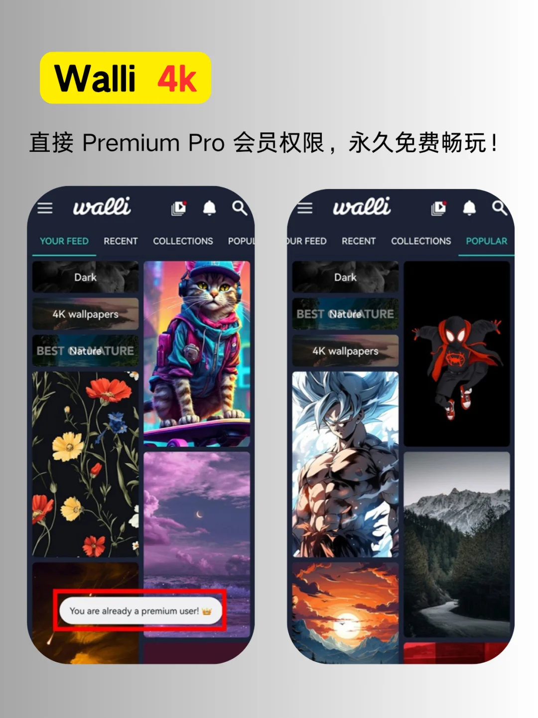 还在花钱买壁纸？来试下这款宝藏App