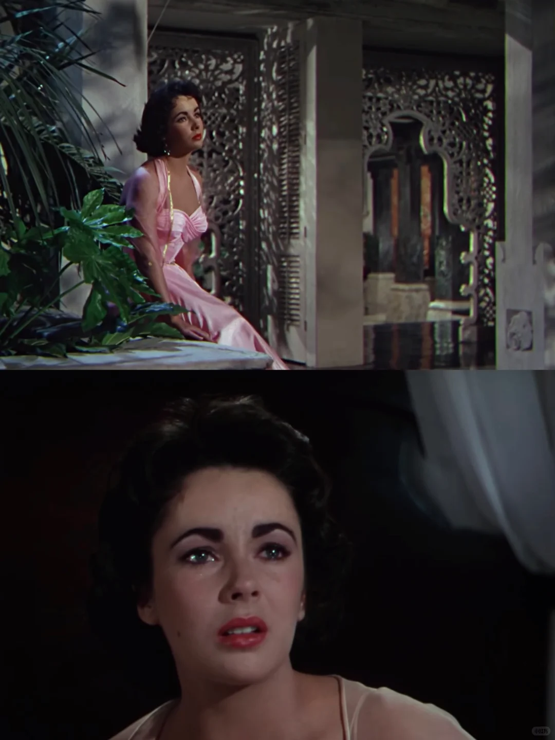 上世纪有太多美丽的电影の