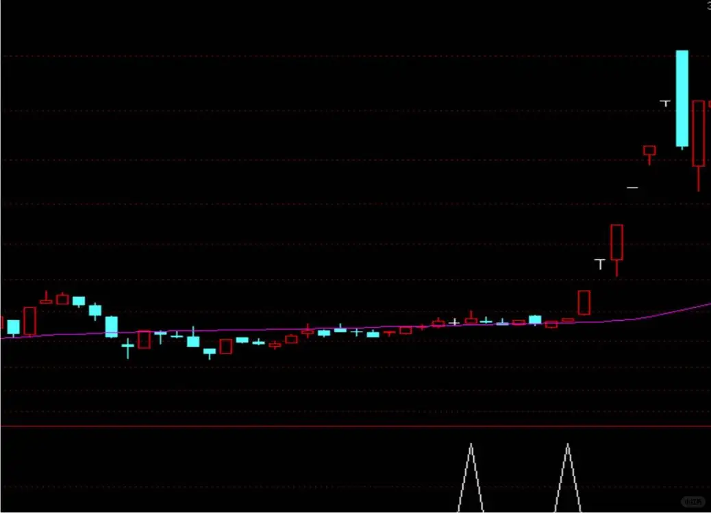 双均线+MACD共振！抓住主升浪的黄金买点！