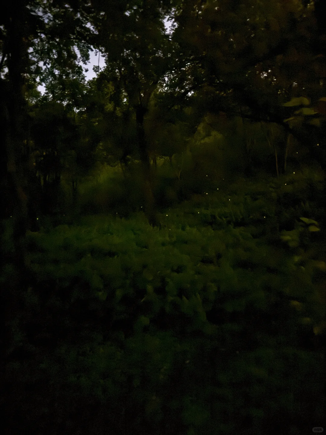 手机app萤火虫叠图攻略