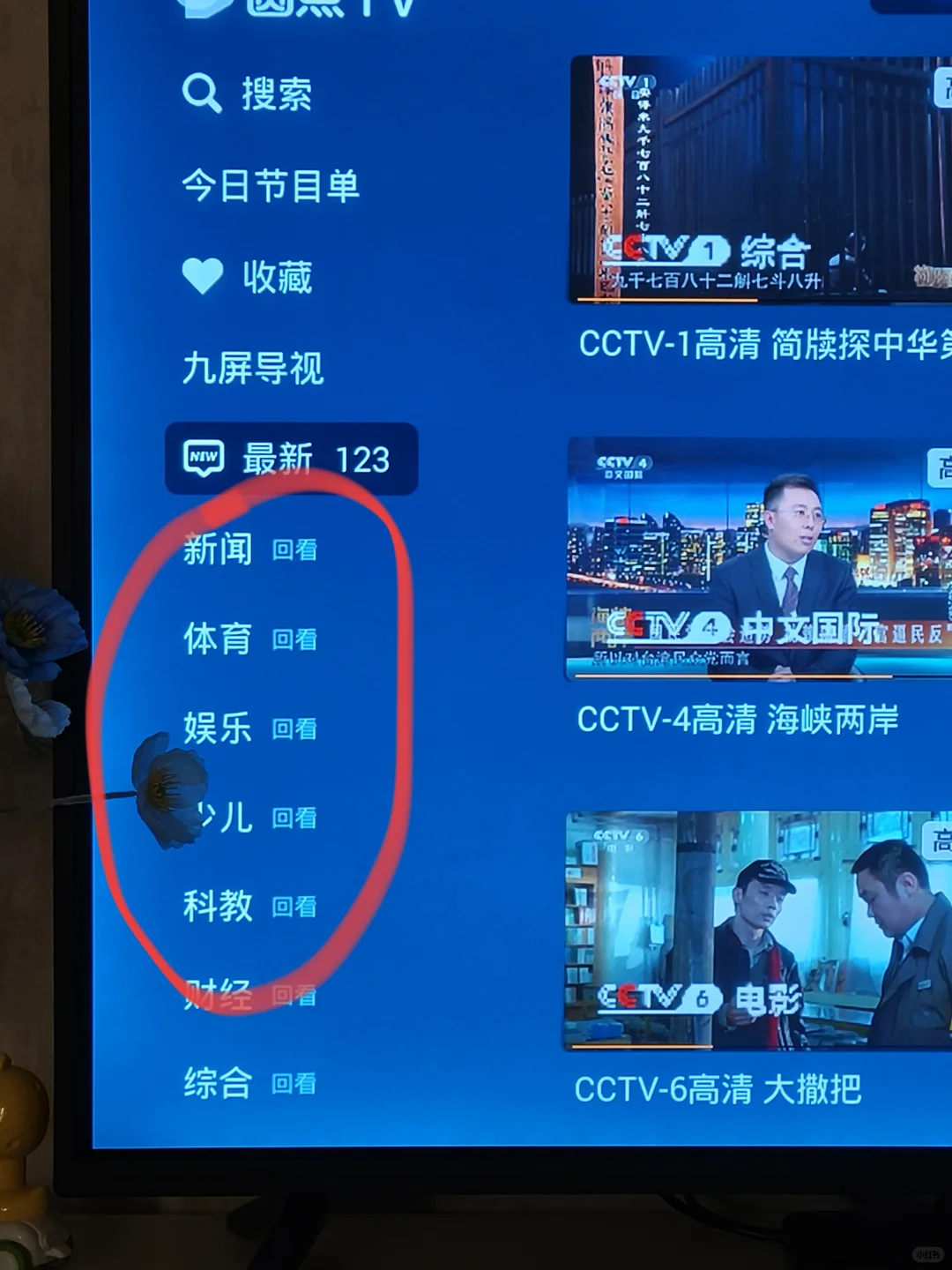 啥情况啊？这么没有电视剧回看了