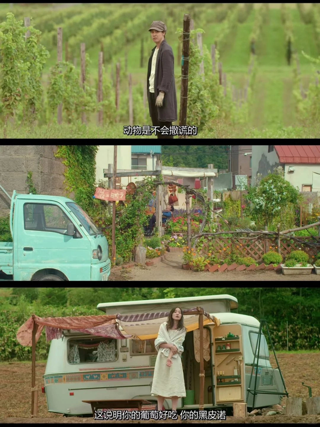 近期看过蕞治愈的电影😭没有之一❗❗❗