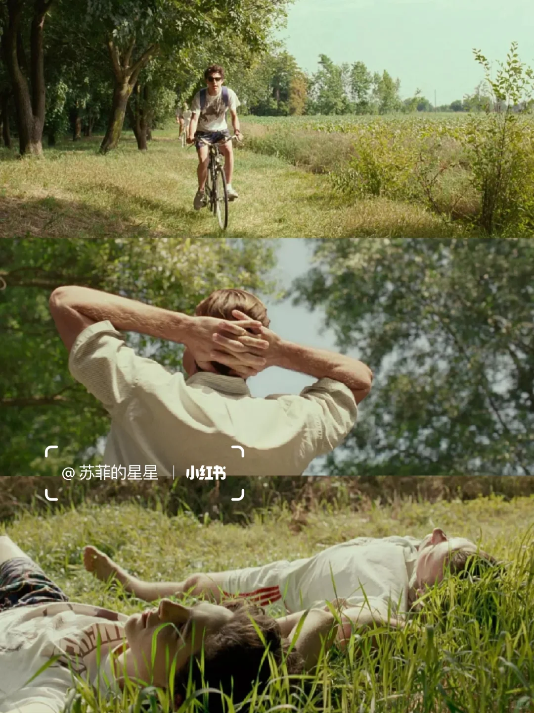 这是我见过最美的电影😭没有之一❗❗❗