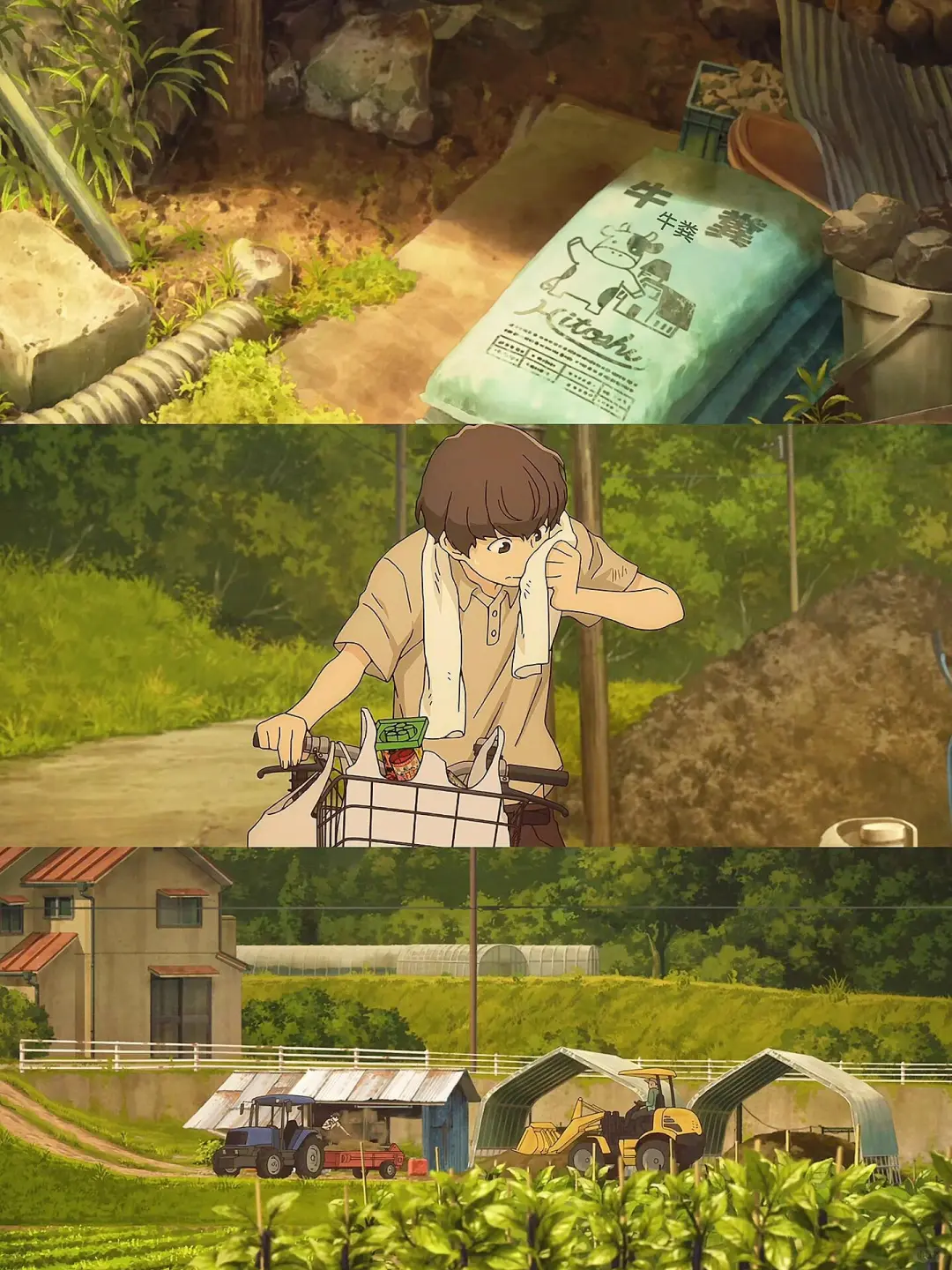 暑假必看把夏天治愈番🫧