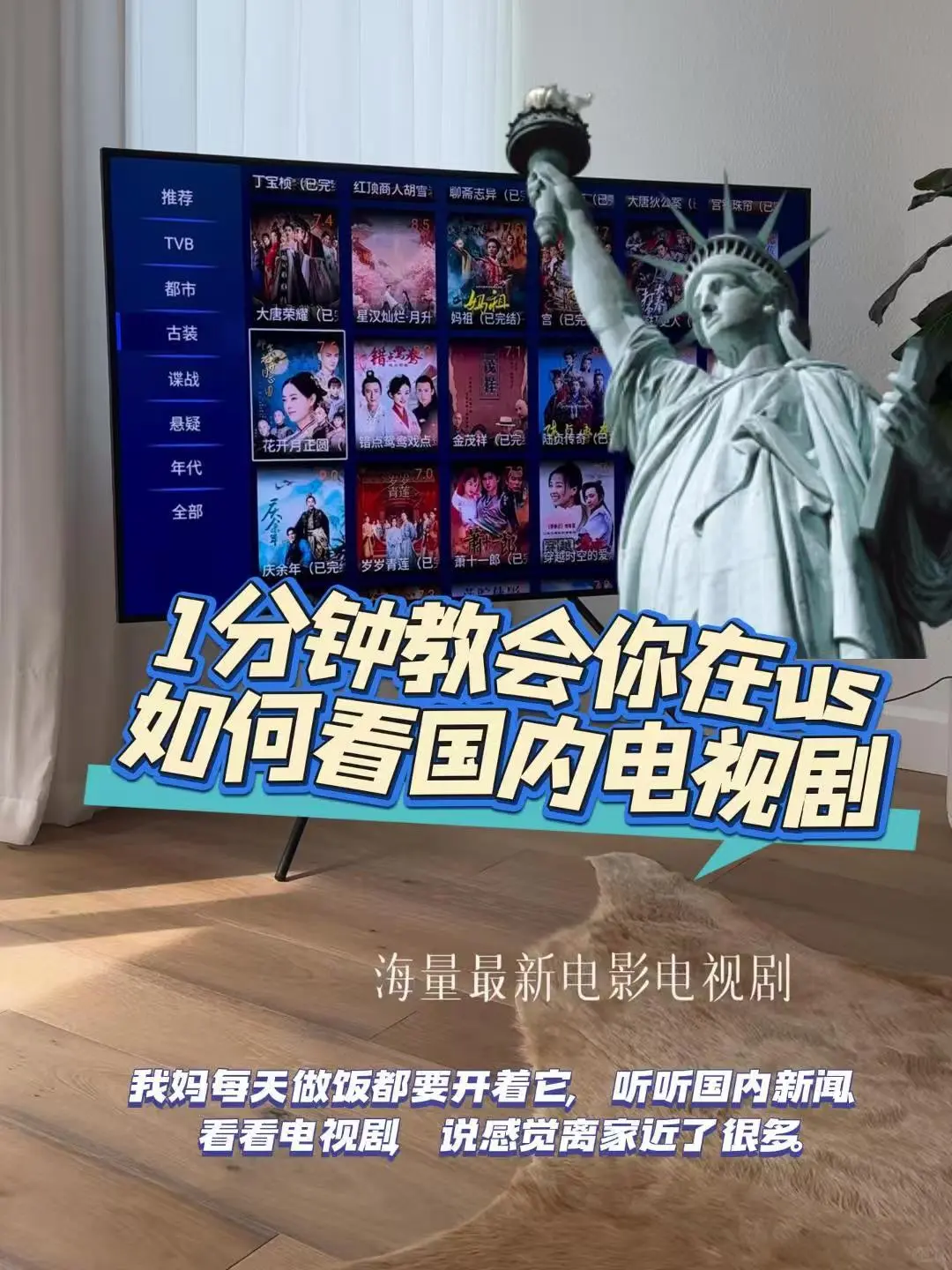 1分钟学会✔教你在🇺🇸怎么看国内电视剧