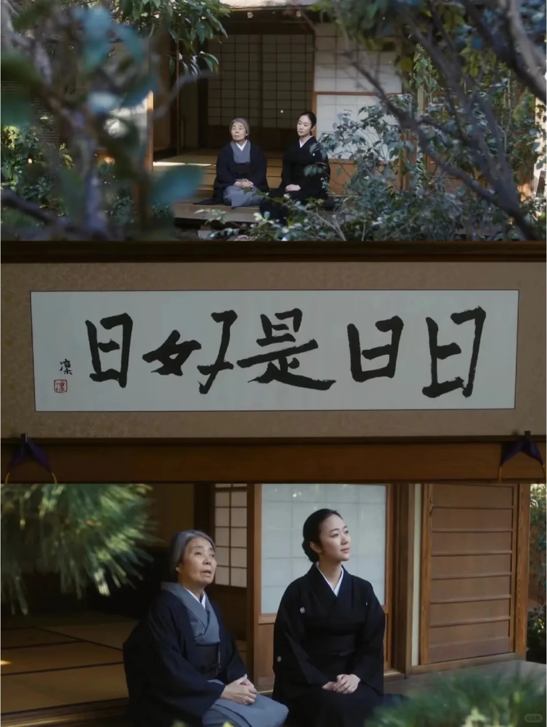 近期看过蕞治愈的电影😭没有之一❗❗❗