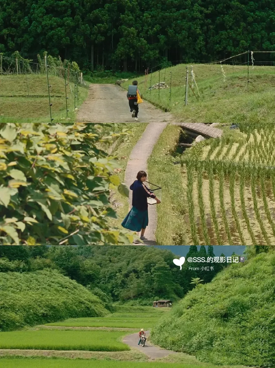 堪比小森林的电影👀看800遍也不够❗️