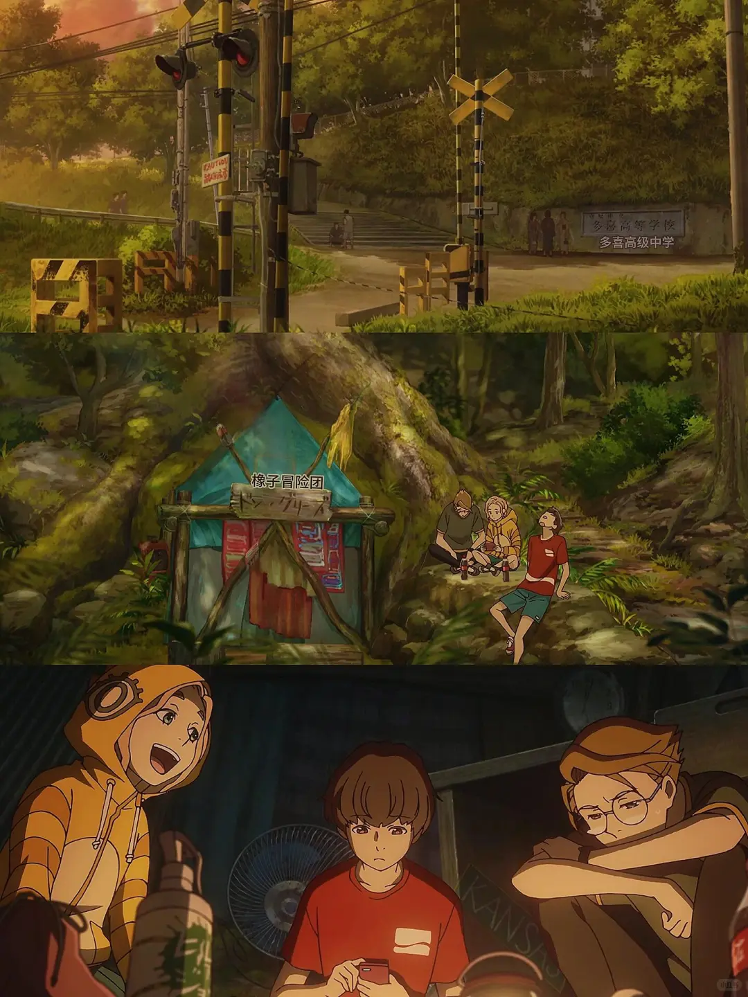 暑假必看把夏天治愈番🫧