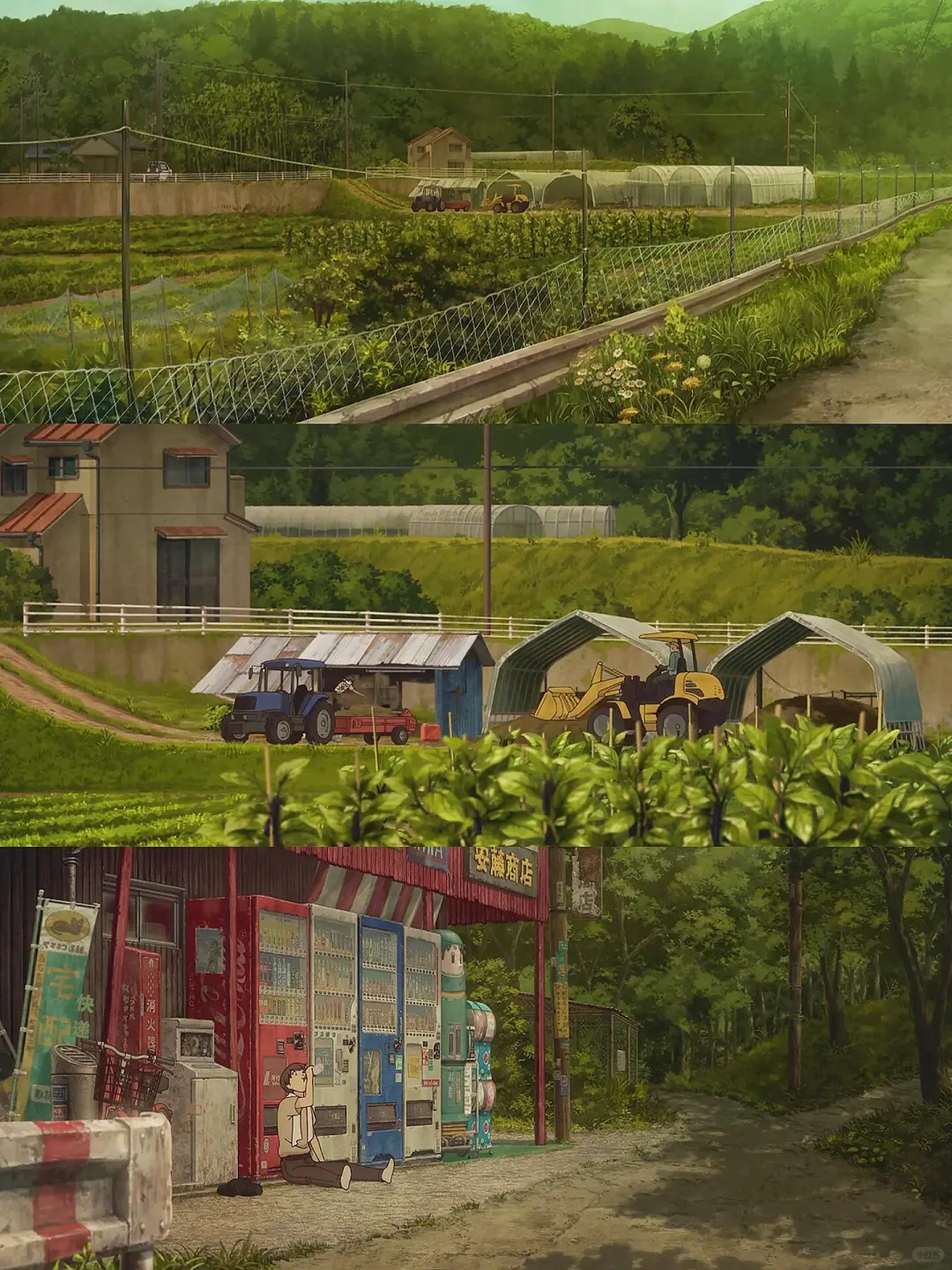 暑假必看把夏天治愈番🫧