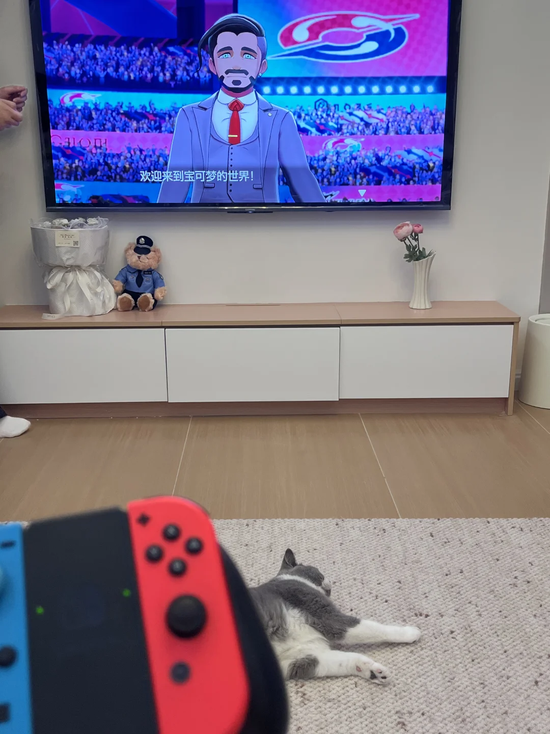 🏠装修日记day132 壁纸电视无杂线的秘密✨