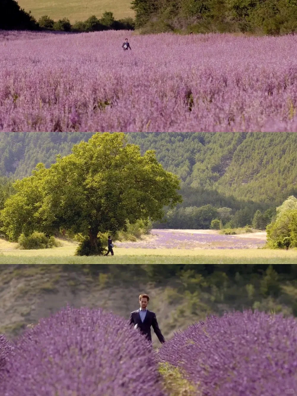 我最爱的人生电影😭没有之一❗️❗️❗️