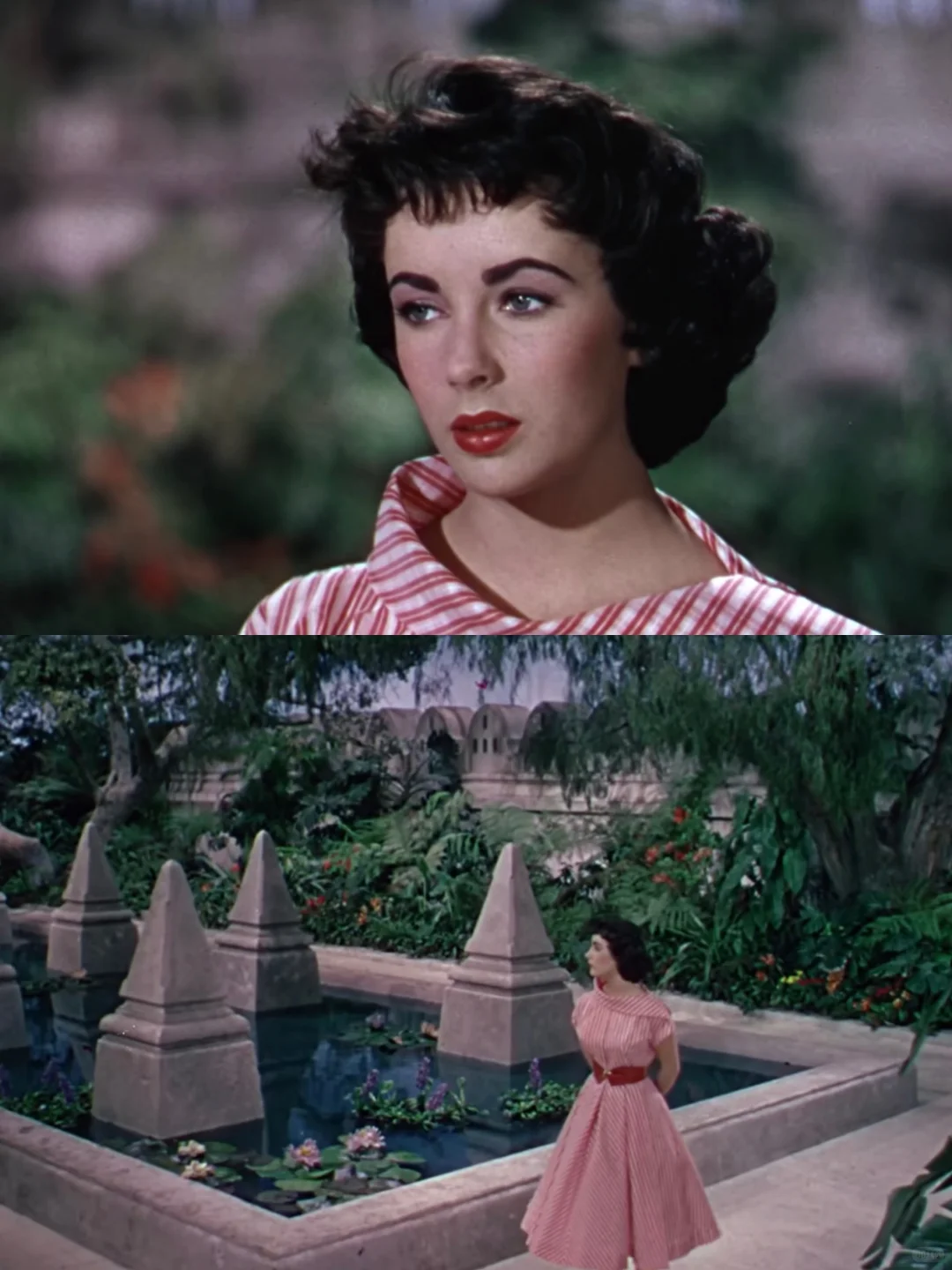 上世纪有太多美丽的电影の