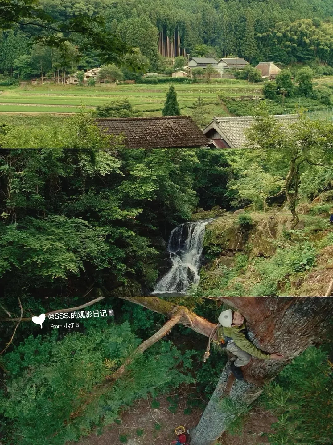 堪比小森林的电影👀看800遍也不够❗️
