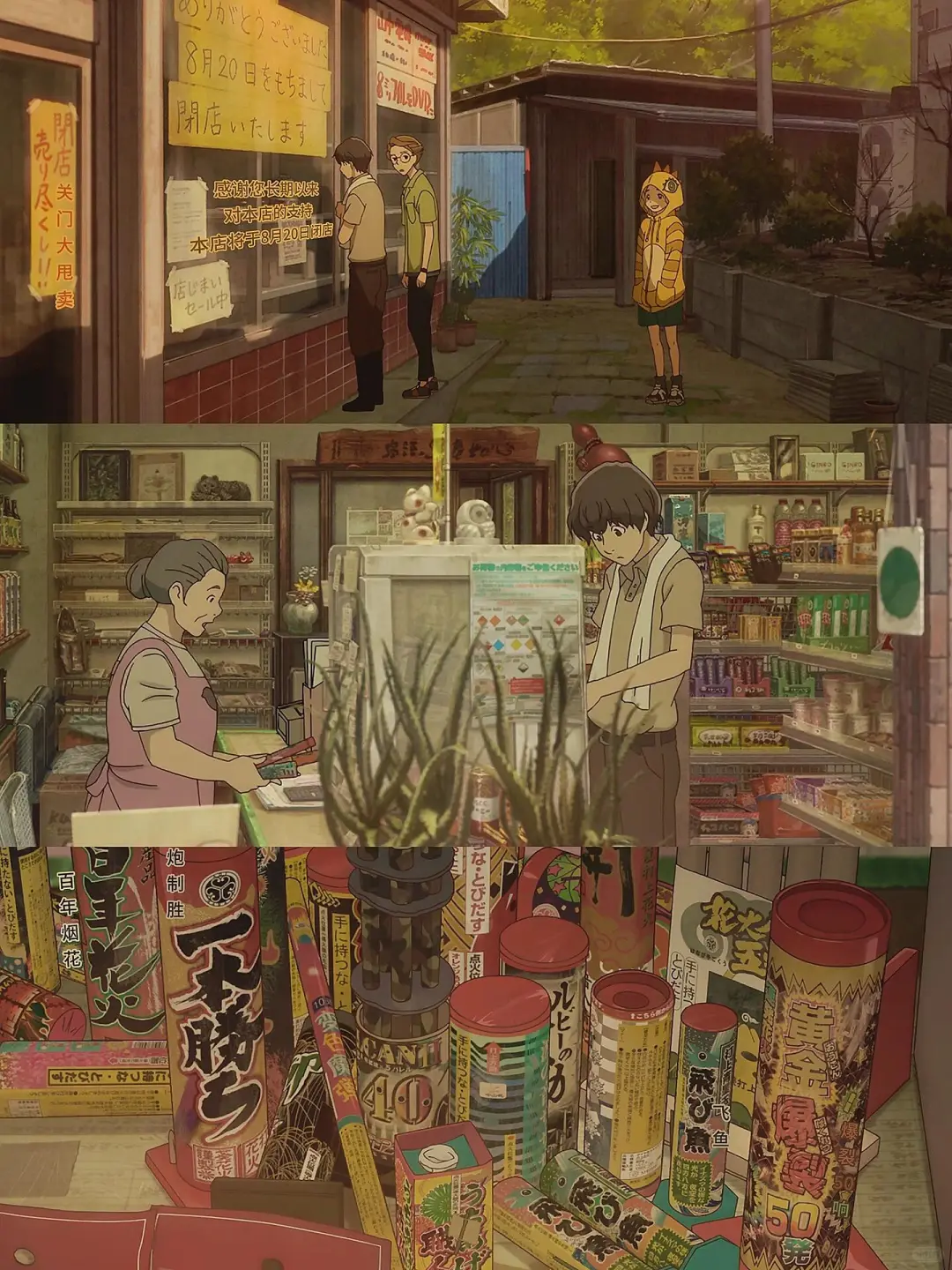 暑假必看把夏天治愈番🫧