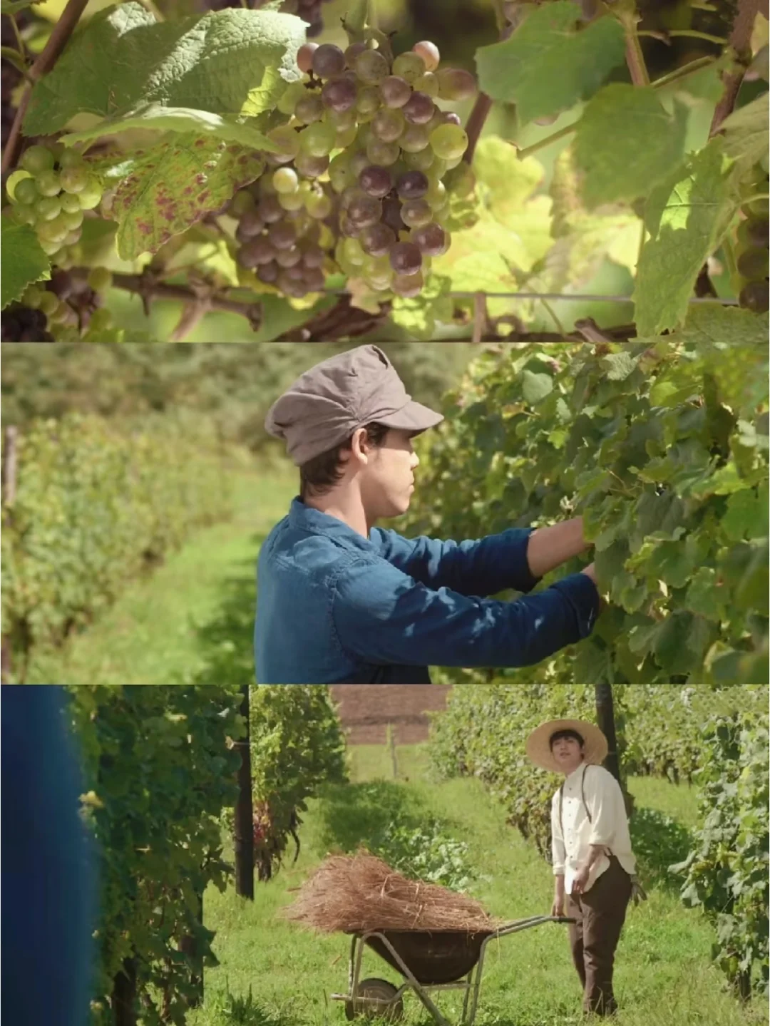 近期看过蕞治愈的电影😭没有之一❗❗❗