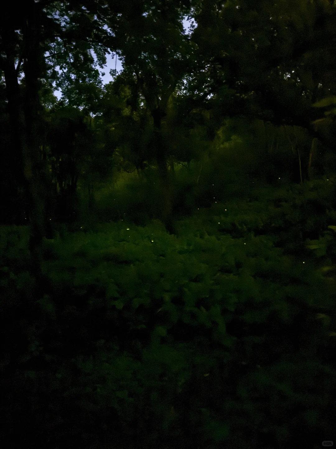 手机app萤火虫叠图攻略