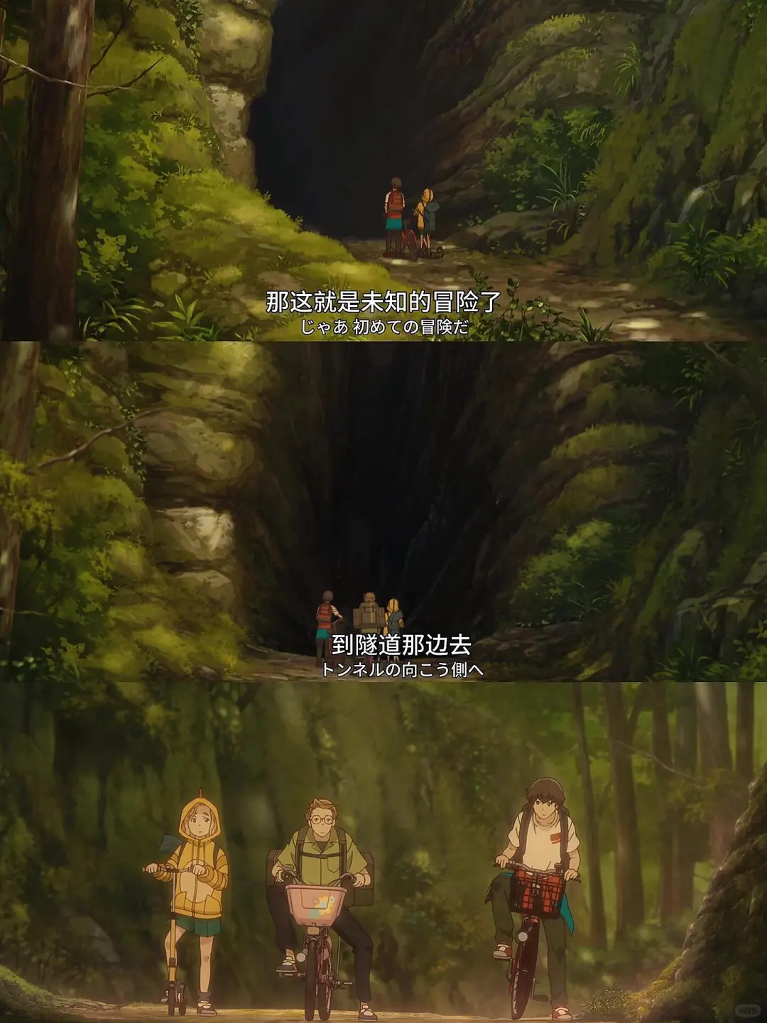 暑假必看把夏天治愈番🫧