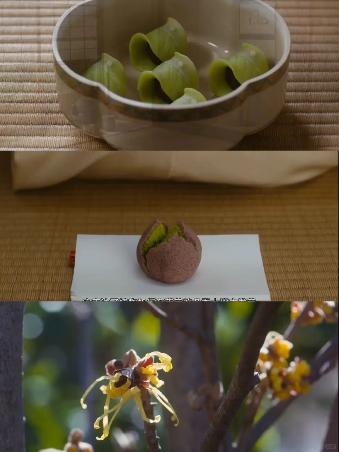 近期看过蕞治愈的电影😭没有之一❗❗❗