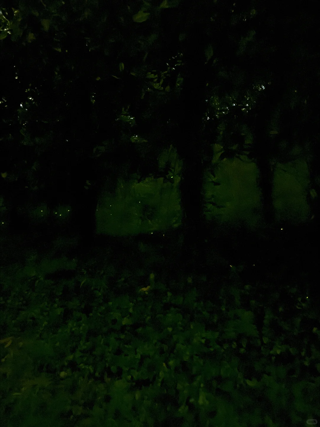 手机app萤火虫叠图攻略