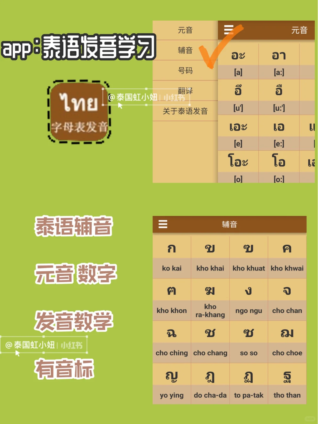 泰语学习必备软件💫安卓篇