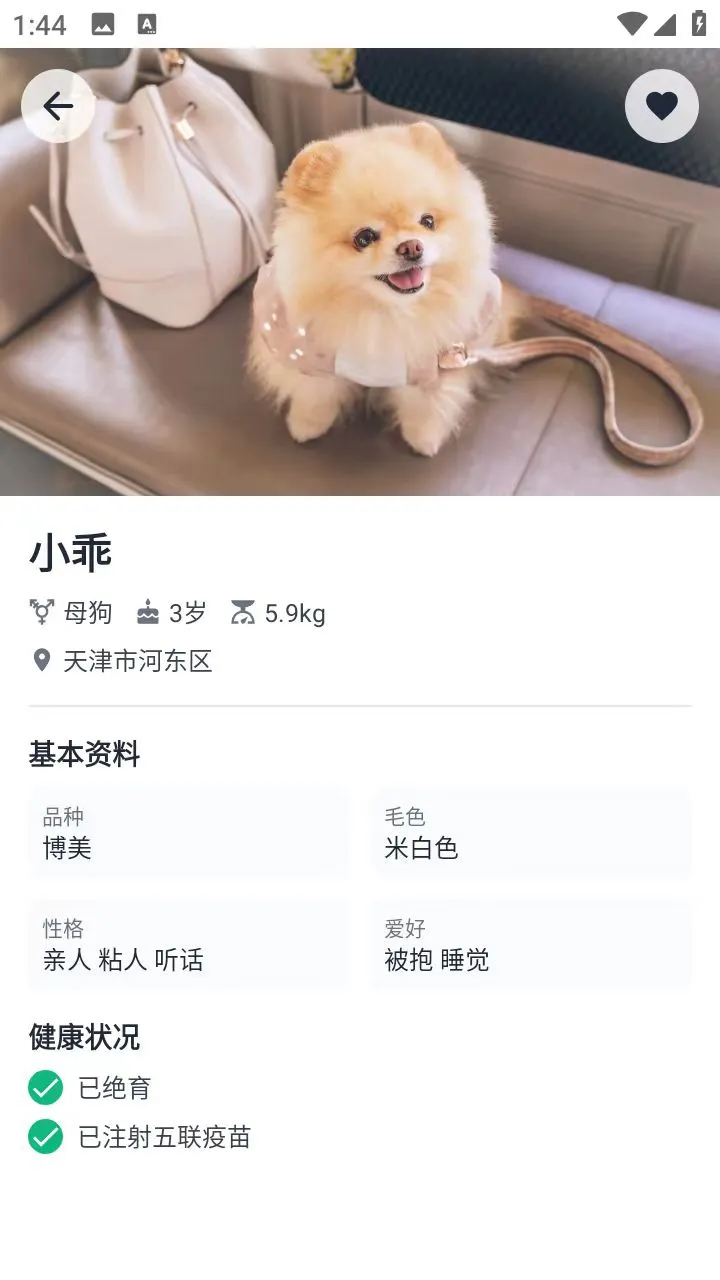 安卓 Android studio 宠物领养App