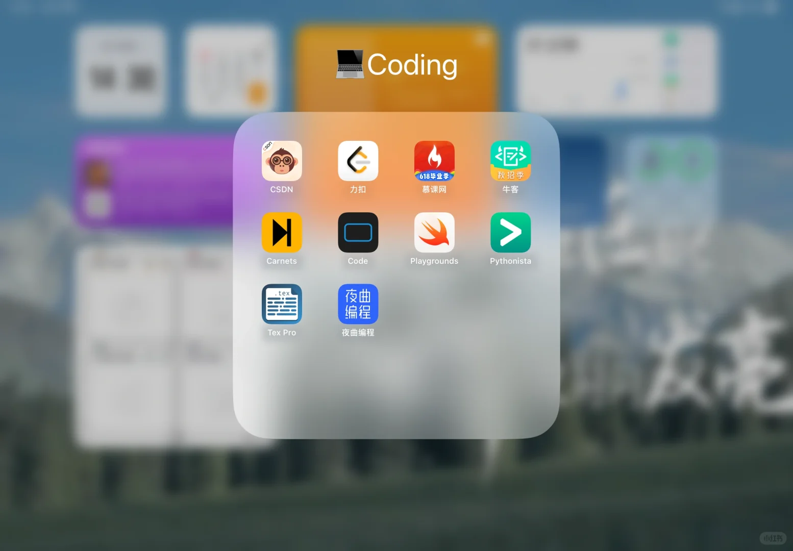 iPad竟然还能编程👨‍💻？？？