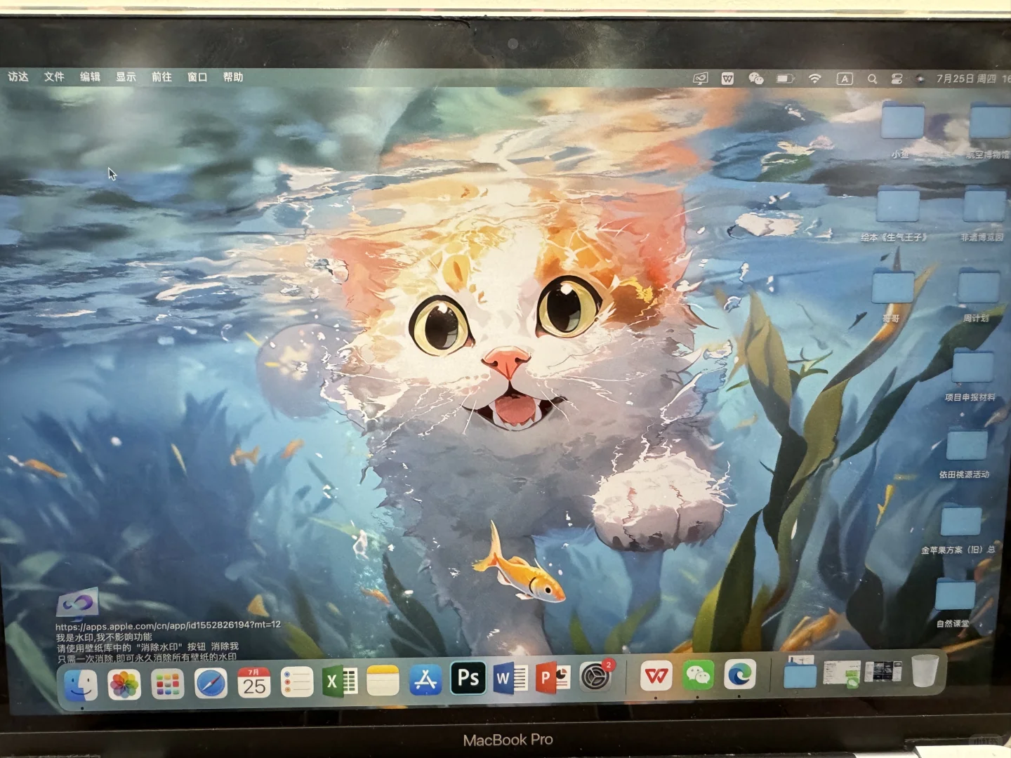 我发现了MAC的动态壁纸软件！