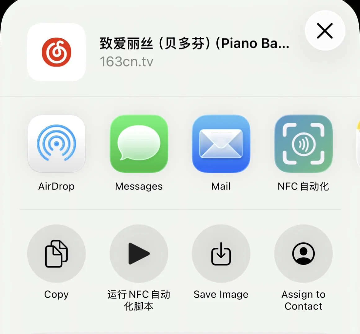 新功能预告：接收分享内容直接脚本运行