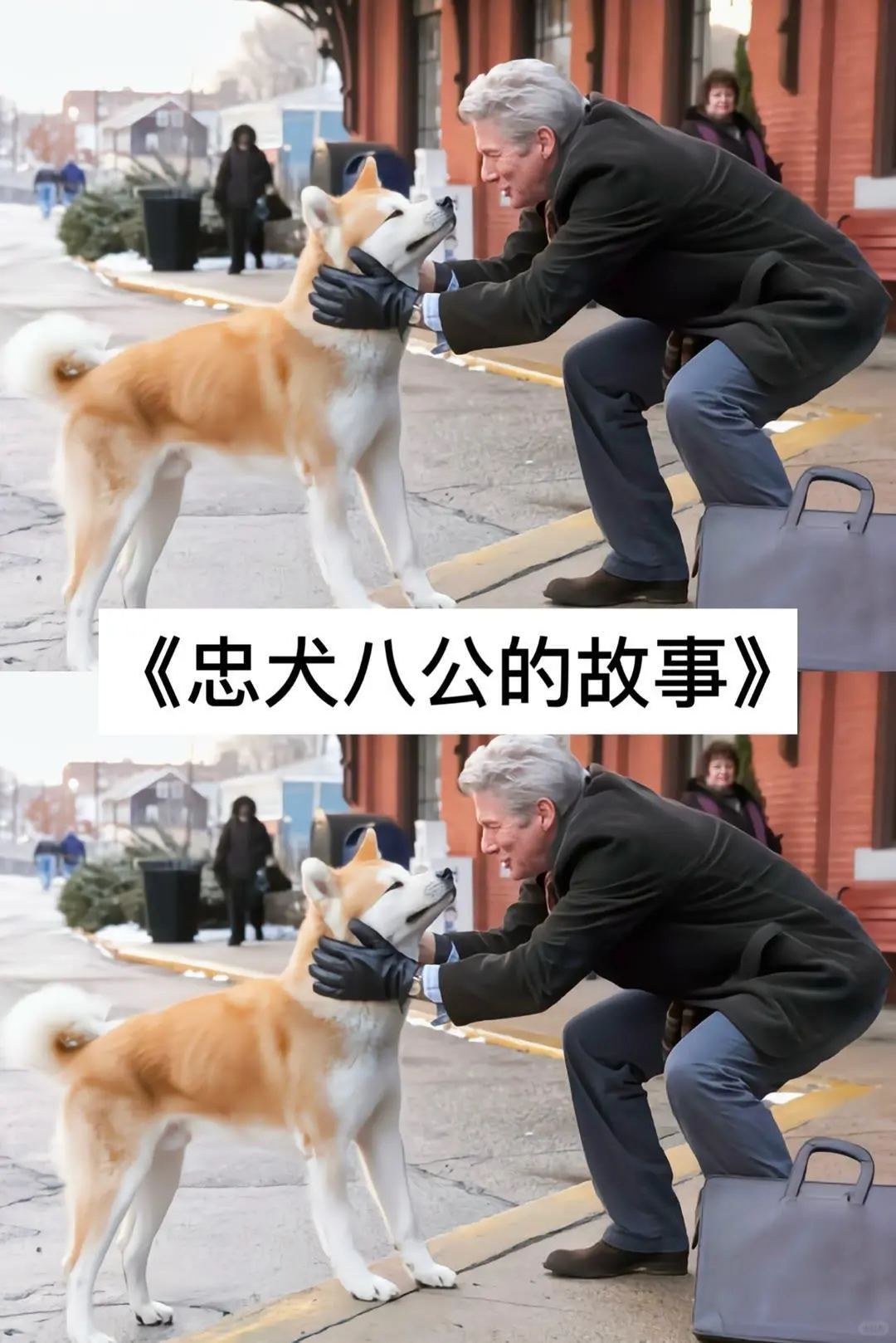 18部让你哭成狗的电影💯