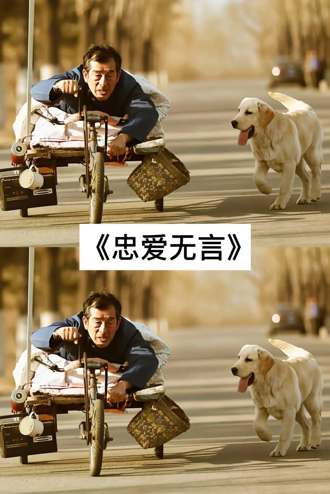 18部让你哭成狗的电影💯