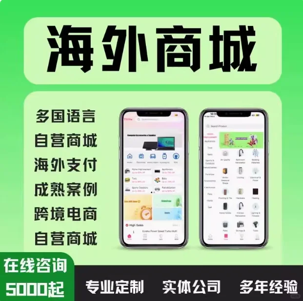 海外软件项目开发，程序开发